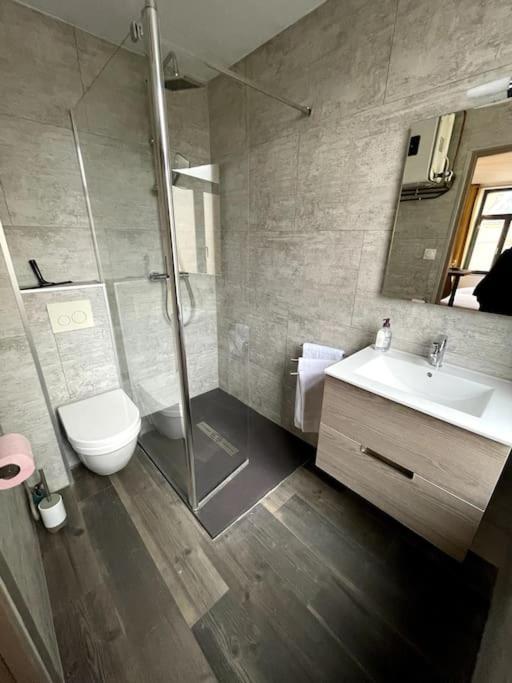 Cosy Studio Lumineux Metz Hypercentre Экстерьер фото